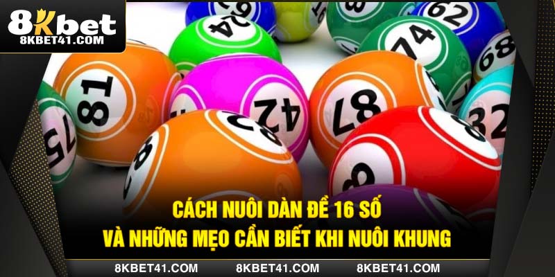 Cách Nuôi Dàn Đề 16 Số Và Những Mẹo Cần Biết Khi Nuôi Khung