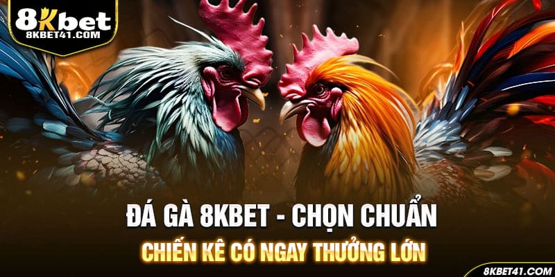 Đá Gà 8Kbet - Trải Nghiệm Cược Hấp Dẫn Kịch Tính Tại Nhà Cái