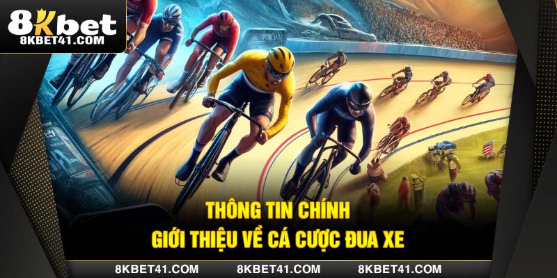Thông tin chính giới thiệu về cá cược đua xe đạp
