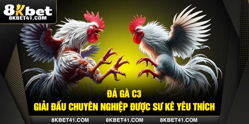 Đá Gà C3 - Giải Đấu Chuyên Nghiệp Được Sư Kê Yêu Thích