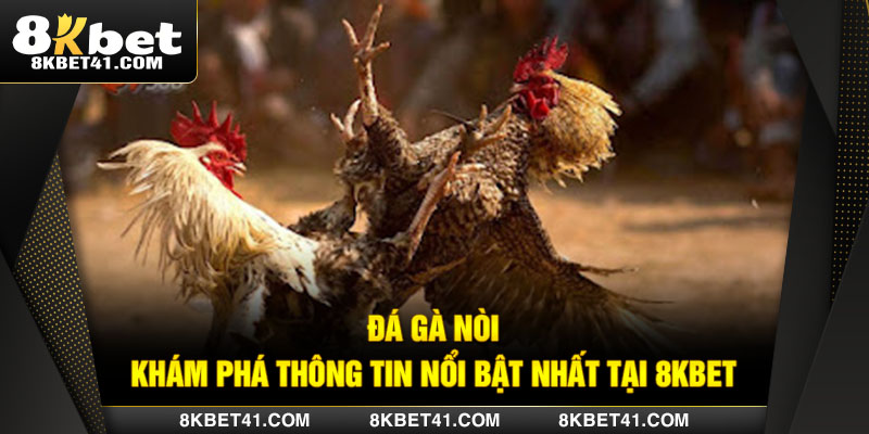 Đá Gà Nòi - Khám Phá Thông Tin Nổi Bật Nhất tại 8Kbet