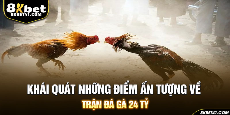 Khái quát những điểm ấn tượng về trận đá gà 24 tỷ
