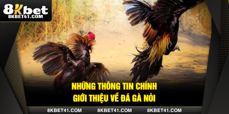 Những thông tin chính giới thiệu về đá gà nòi
