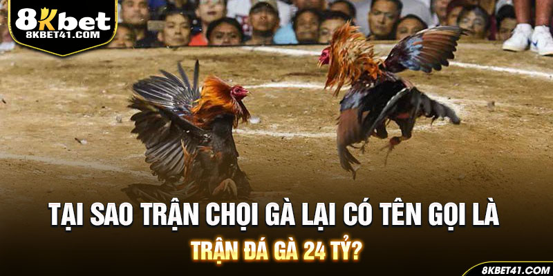 Tại sao trận chọi gà lại có tên gọi là trận đá gà 24 tỷ?