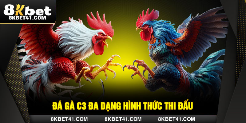 Đá gà C3 đa dạng hình thức thi đấu