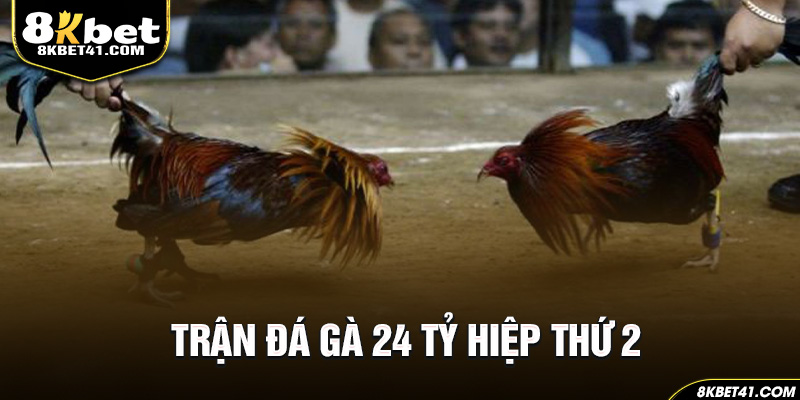 Trận đá gà 24 tỷ hiệp thứ 2