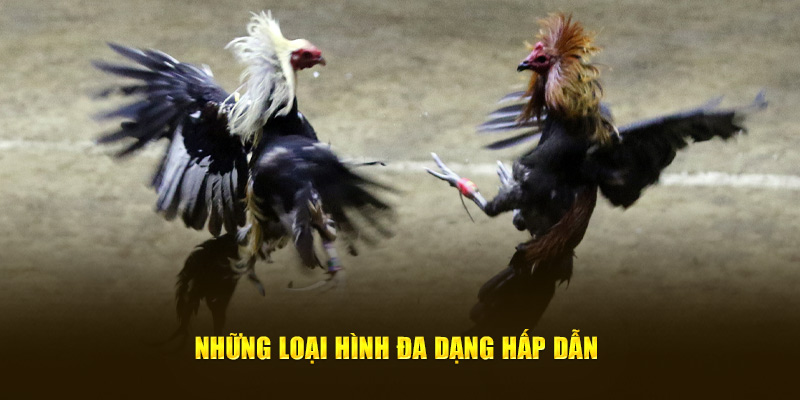 Các loại hình cá cược hấp dẫn và phong phú