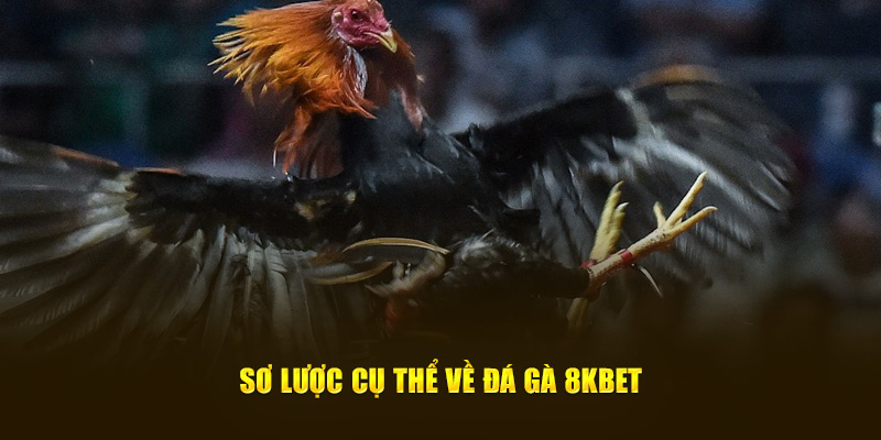 Sơ lược cụ thể về đá gà 8Kbet